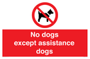 no-dogs-except-assistance-dogs~